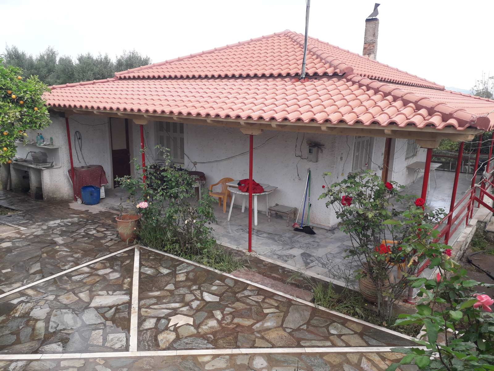 eikona Viber 2024-07-03 23-01-00-471